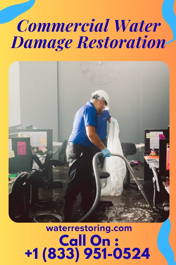 Commercial Water Damage Restoration in Georgetown, MN